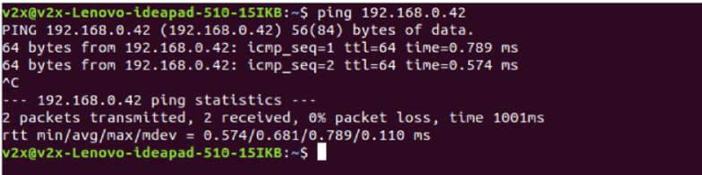 This screenshot shows an example of a positive ping output.